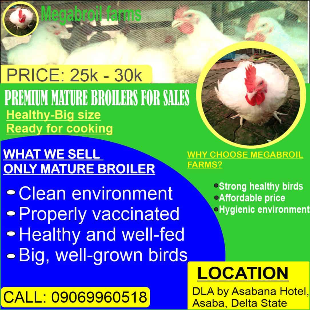 Megabroil Farms Promotional Design